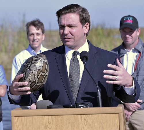Governor Ron DeSantis